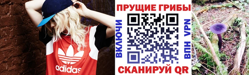 Псилоцибиновые грибы мицелий  Волчанск 